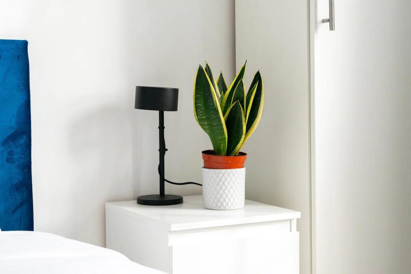 King's Cross Cosy Corner Pass The Keys Apartment *